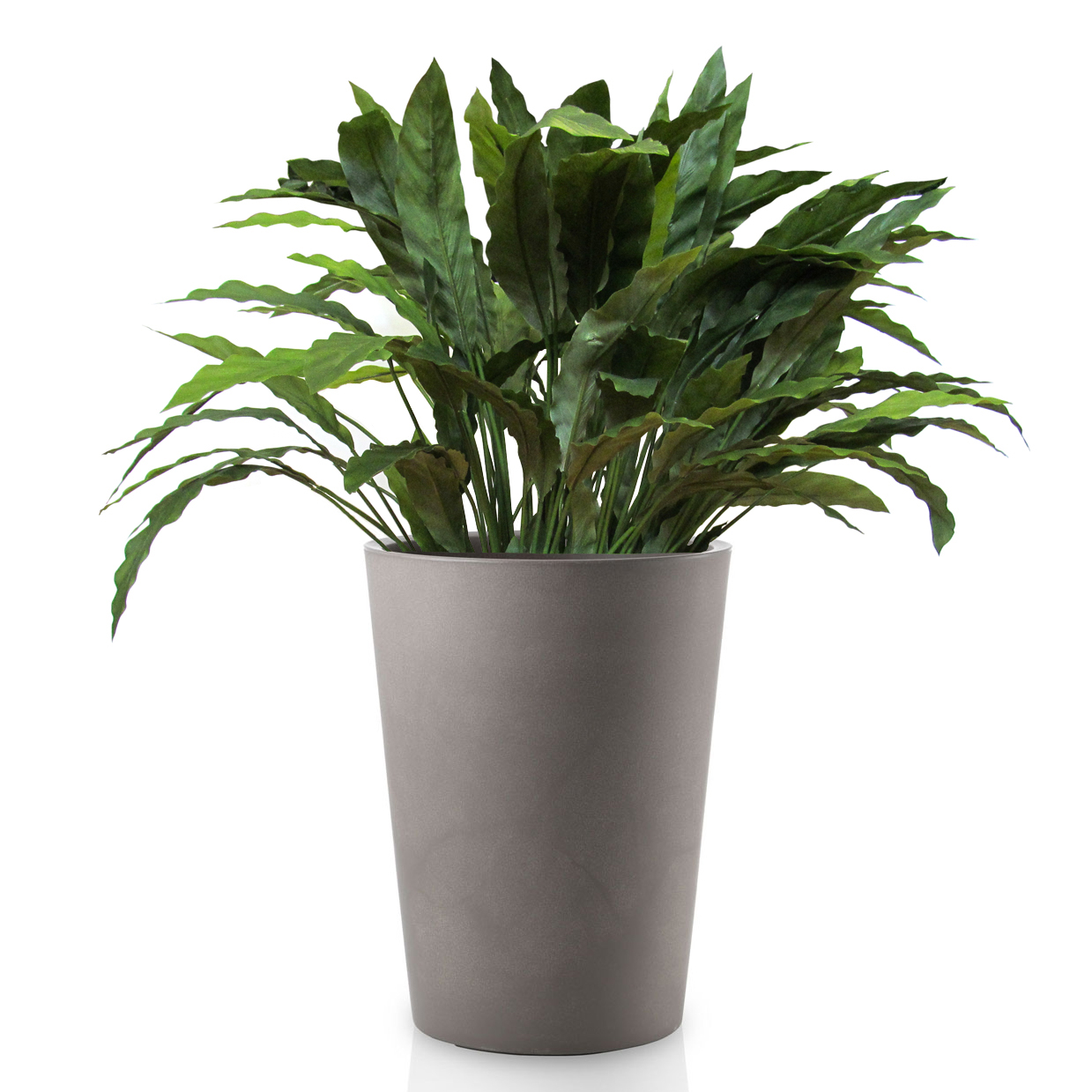 Искусственные растения