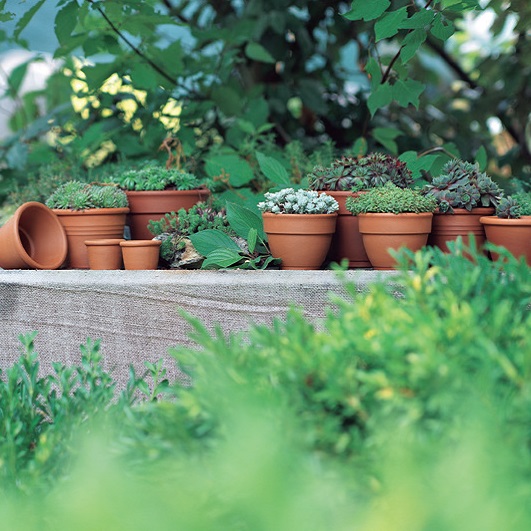 Глиняные горшки