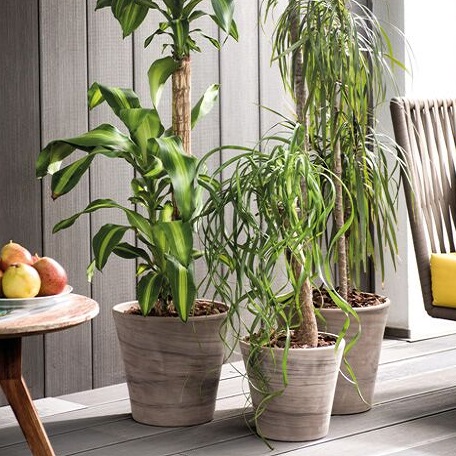 Цветная терракота