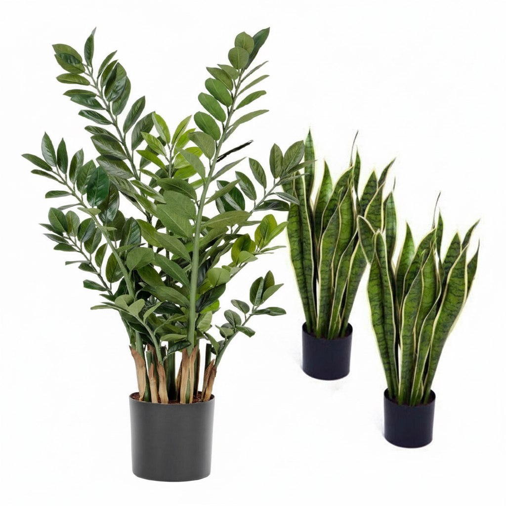 Комнатные растения в горшках