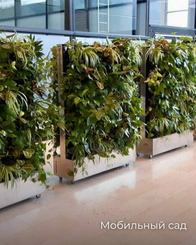 photo_2025-10-22_13-58-09.jpg photo_2025-10-22_13-58-09.jpg