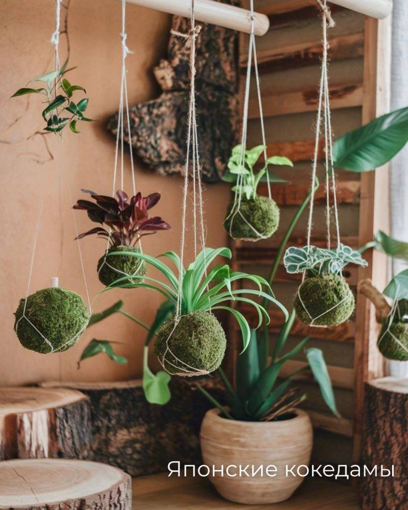 photo_2025-10-22_13-51-23.jpg photo_2025-10-22_13-51-23.jpg