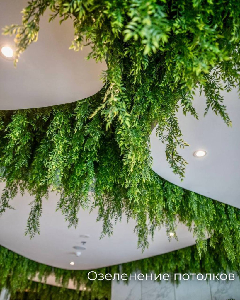 photo_2025-10-22_13-58-07.jpg photo_2025-10-22_13-58-07.jpg