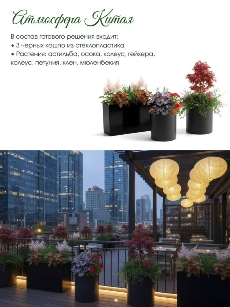 photo_2026-03-13_12-53-48.jpg photo_2026-03-13_12-53-48.jpg