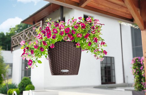 NIDO-Cottage-Self-watering-hanging-basket.png.492x0_q85_crop-smart.jpg