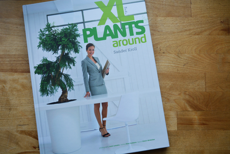 xl-plants-01.jpg