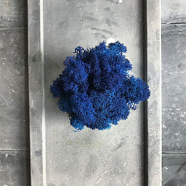 Стабилизированный мох Blue , материал 