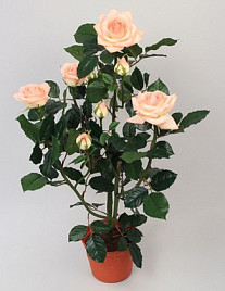 Роза сентябрьская , материал пластик
