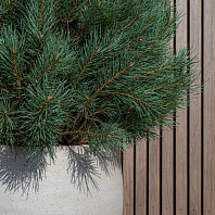 Кашпо ORB Cement and stone