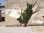 Вазон MEZZO FESTONATO San Rocco Италия, материал глина Галестро, доп. фото 2
