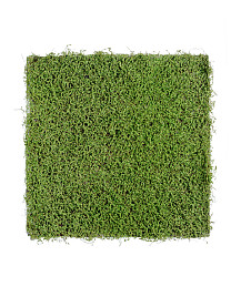 Мох Рясковый светло-зеленый (полотно) квадрат , материал 