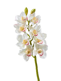 Орхидея Цимбидиум белая ветвь средняя , материал 