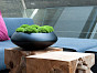 Чаша TARA Natural Pottery Pots Нидерланды, материал файбергласс, доп. фото 4