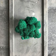 Стабилизированный мох Emerald