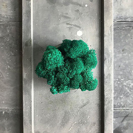 Стабилизированный мох Emerald , материал 