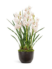 Орхидея Цимбидиум куст белый , материал 