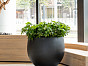 Кашпо JUMBO ORB Natural Pottery Pots Нидерланды, материал файбергласс, доп. фото 1