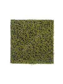 Мох Сфагнум Fuscum оливково-зелёный (полотно) , материал 