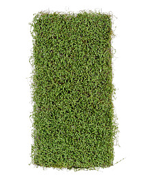 Мох Рясковый светло-зеленый (полотно) прямоугольник Нидерланды, материал 