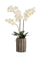 Орхидея Фаленопсис белая (superrealtouch) композиция в кашпо под дерево