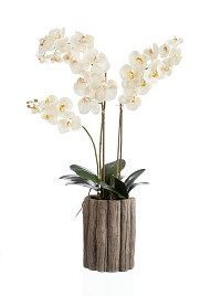 Орхидея Фаленопсис белая (superrealtouch) композиция в кашпо под дерево , материал 