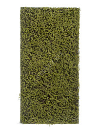 Мох Сфагнум Fuscum оливково-зелёный (полотно среднее) , материал 