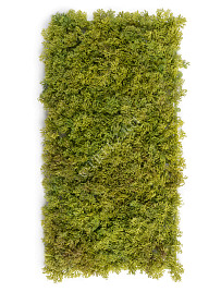 Мох Ягель св.зелёный микс со св.коричневым (коврик) Нидерланды, материал 