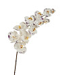 Орхидея Фаленопсис superrealtouch цвет белый с фиолетовыми крапинами