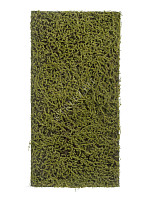 Мох Сфагнум Fuscum оливково-зелёный (полотно среднее)