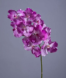 Орхидея Ванда с ярко-сиреневыми прожилками , материал 