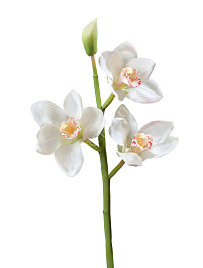 Орхидея Цимбидиум ветвь белая малая , материал 